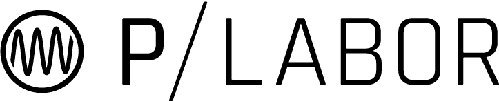 Historisches P-Labor elektronik Logo